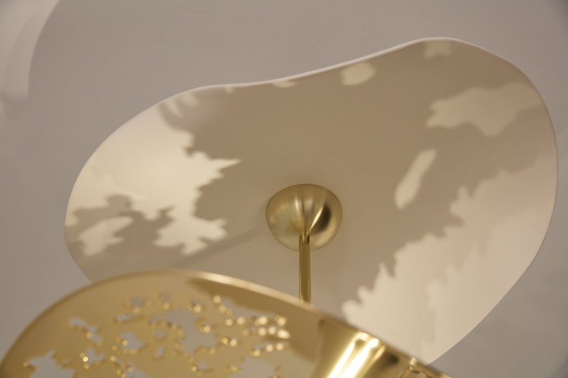 envolee_ajouree_mydriaz@jeremy_josselin_6