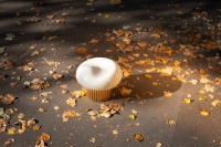 mydriaz_paris_merveilleux_stool_brass_6